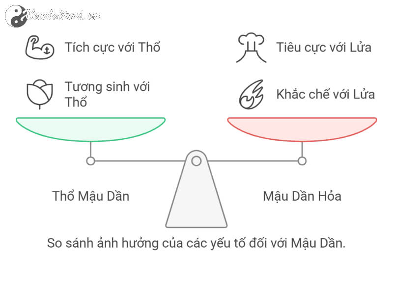 Vận Mệnh Tuổi Mậu Dần Phong Thủy, Tử Vi và Cơ Hội Thành Công năm 2025