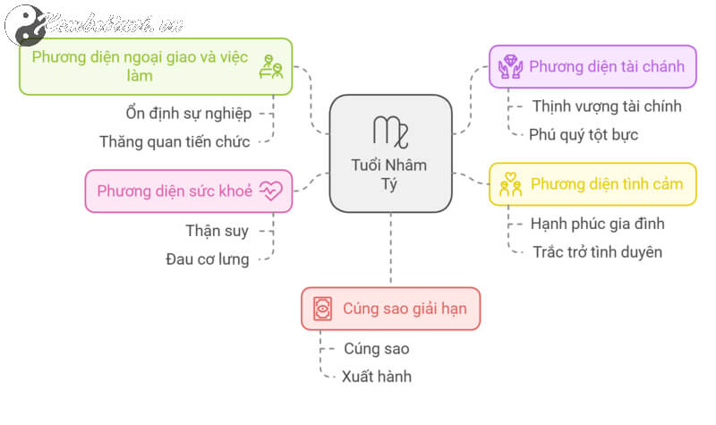 Tử vi Nhâm Tý 2025 nam mạng