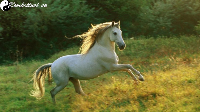 Tuổi X&ocirc;ng Đất Hợp Mệnh Kim Cho Gia Chủ Sinh Năm 1954