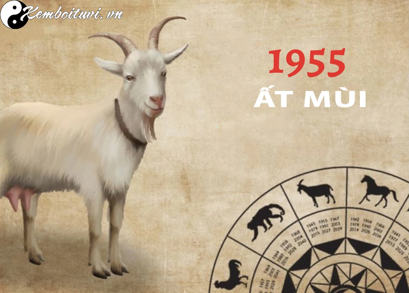 Tuổi X&ocirc;ng Đất Hợp Mệnh Cho Gia Chủ Sinh Năm 1955