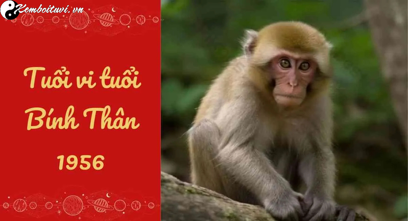 Tuổi X&ocirc;ng Đất Ph&ugrave; Hợp Nhất Cho Gia Chủ Sinh Năm 1956