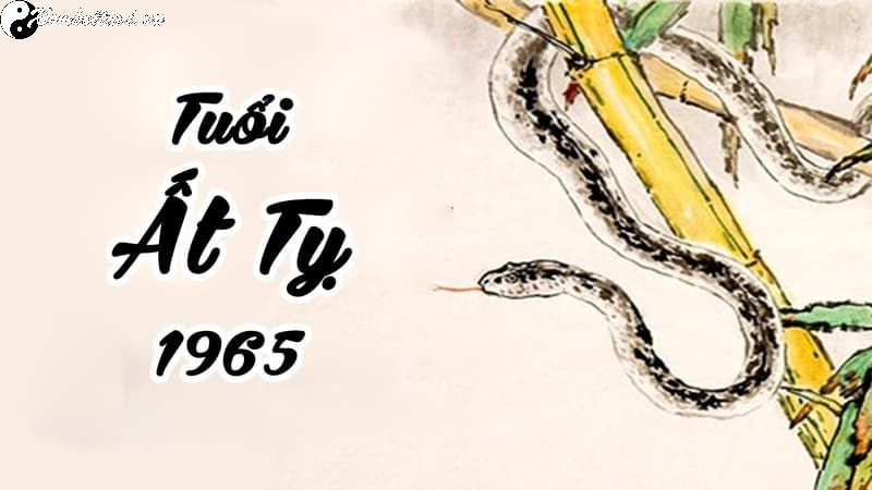 Tuổi X&ocirc;ng Đất Hợp Mệnh Cho Gia Chủ Sinh Năm 1965