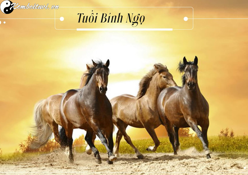 Tuổi X&ocirc;ng Đất Hợp Mệnh Với Gia Chủ Sinh Năm 1966: B&iacute; Quyết Chọn Người Mở H&agrave;ng Đầu Năm