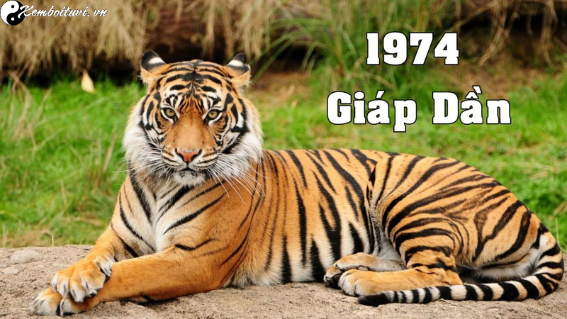 Tuổi X&ocirc;ng Đất Cho Gia Chủ Sinh Năm 1974: B&iacute; Quyết Chọn Người Mang Lộc Đầu Năm