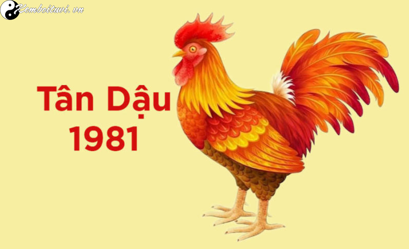 Tuổi X&ocirc;ng Đất Cho Gia Chủ Sinh Năm 1981: Lựa Chọn Đ&uacute;ng Người Mang Lại May Mắn Trọn Vẹn