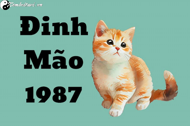 Tuổi X&ocirc;ng Đất Cho Gia Chủ Sinh Năm 1987: Lựa Chọn Hợp Mệnh Đ&oacute;n T&agrave;i Lộc