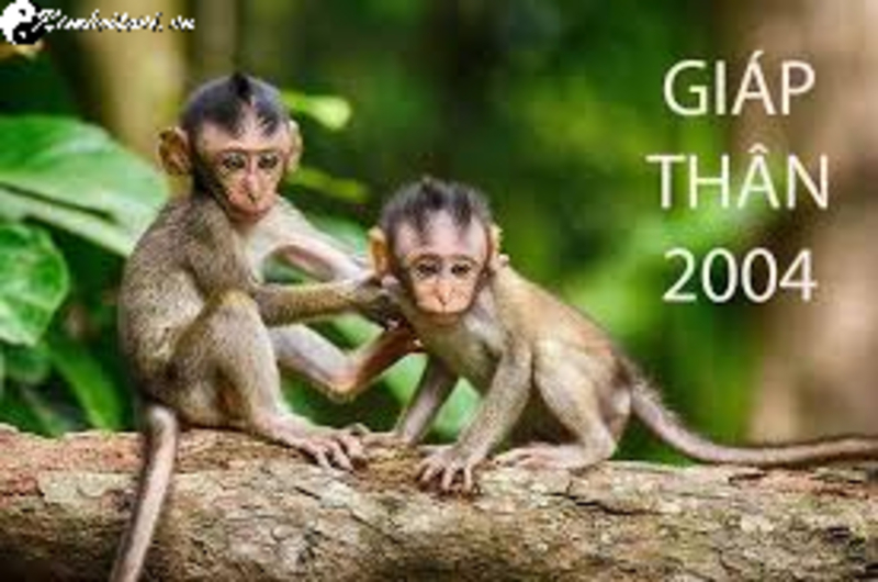 Tuổi X&ocirc;ng Đất Ph&ugrave; Hợp Nhất Cho Gia Chủ Sinh Năm 2004