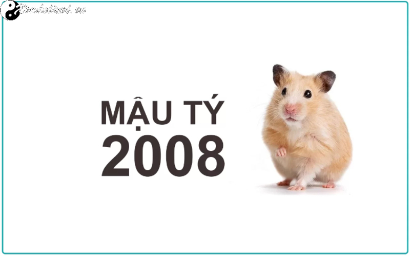 Tuổi X&ocirc;ng Đất Hợp Mệnh Cho Gia Chủ Sinh Năm 2008 &ndash; Đ&oacute;n Lộc Đầu Xu&acirc;n Hanh Th&ocirc;ng