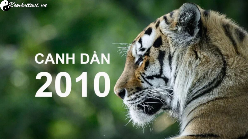 Tuổi Xông Đất Hợp Với Gia Chủ Sinh Năm 2010 - Chọn Lựa Đúng Mang Lại May Mắn
