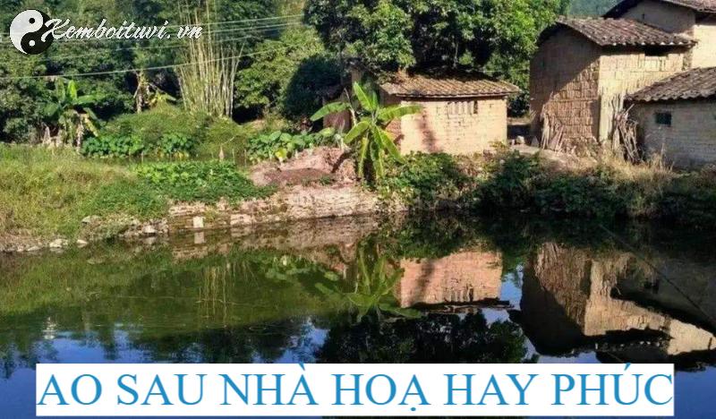 Bí Ẩn Ao Sau Nhà: Mang Lại Tài Lộc Hay Rước Họa