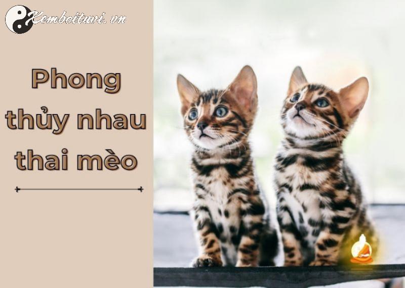 Nhau M&egrave;o Trong Phong Thủy: B&iacute; Mật Ẩn Giấu Gi&uacute;p Chi&ecirc;u T&agrave;i Lộc V&agrave; Xua Đuổi &Acirc;m Kh&iacute;