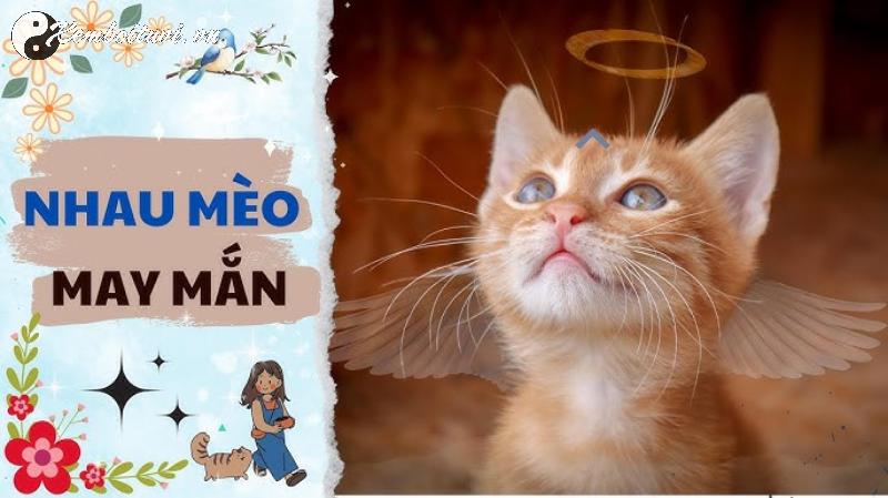 Nhau M&egrave;o Trong Phong Thủy: B&iacute; Mật Ẩn Giấu Gi&uacute;p Chi&ecirc;u T&agrave;i Lộc V&agrave; Xua Đuổi &Acirc;m Kh&iacute;