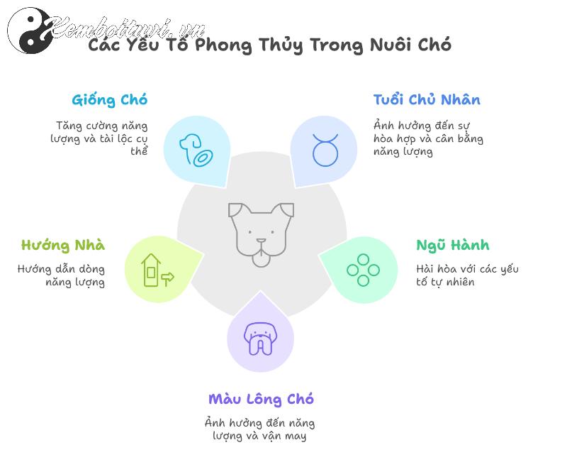 B&iacute; Quyết Nu&ocirc;i Ch&oacute; Phong Thủy Mang T&agrave;i Lộc V&agrave; B&igrave;nh An Cho Gia Đ&igrave;nh