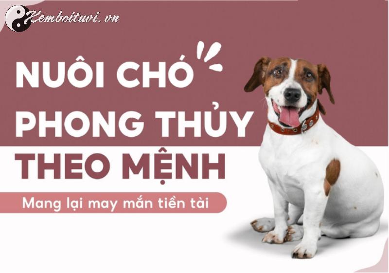 B&iacute; Quyết Nu&ocirc;i Ch&oacute; Phong Thủy Mang T&agrave;i Lộc V&agrave; B&igrave;nh An Cho Gia Đ&igrave;nh