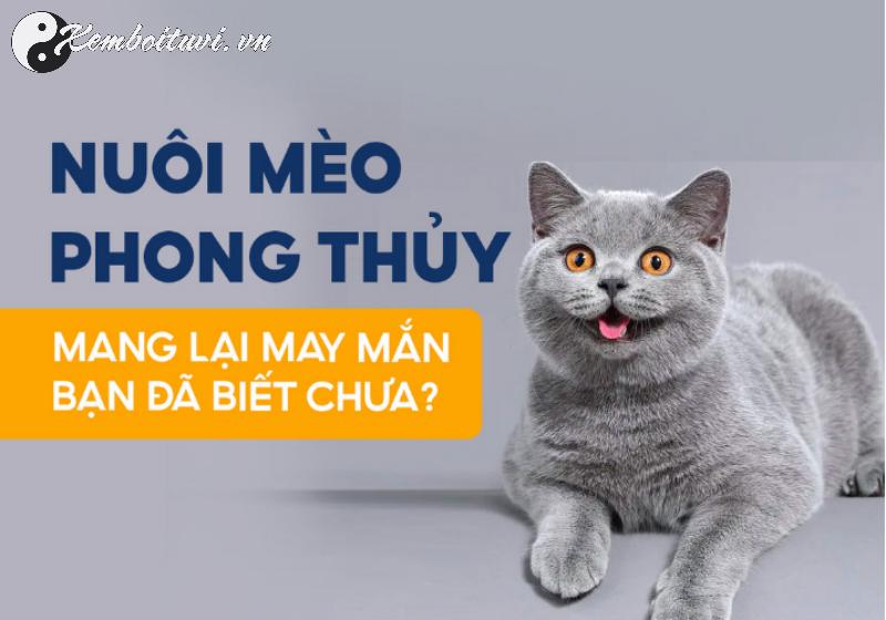 Nu&ocirc;i M&egrave;o Phong Thủy - B&iacute; Quyết Mang T&agrave;i Lộc V&agrave; B&igrave;nh An V&agrave;o Ng&ocirc;i Nh&agrave;