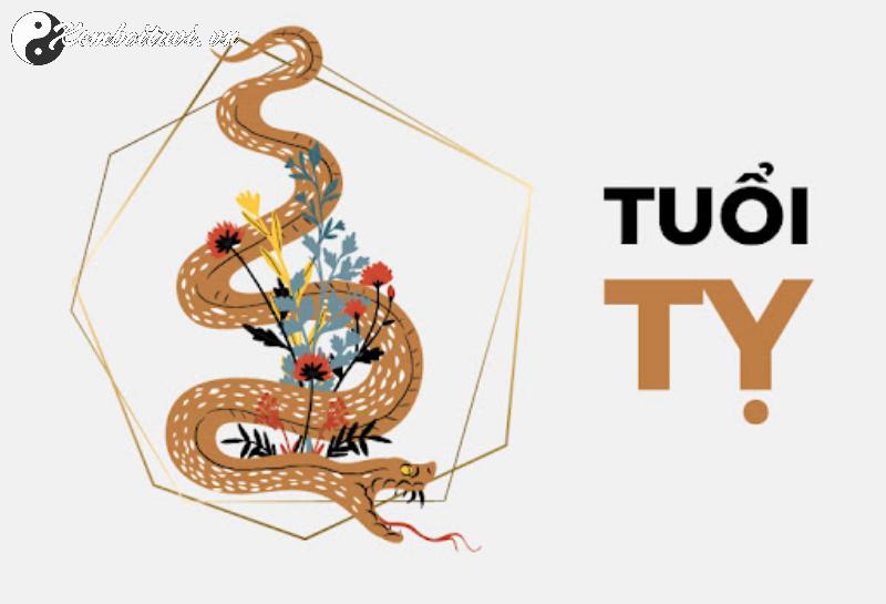 Người Tuổi Tỵ Nhất Định Phải Biết: Chọn Hướng Nhà, Màu Sắc Và Bố Trí Nội Thất Hợp Phong Thủy Để Đón Tài Lộc!