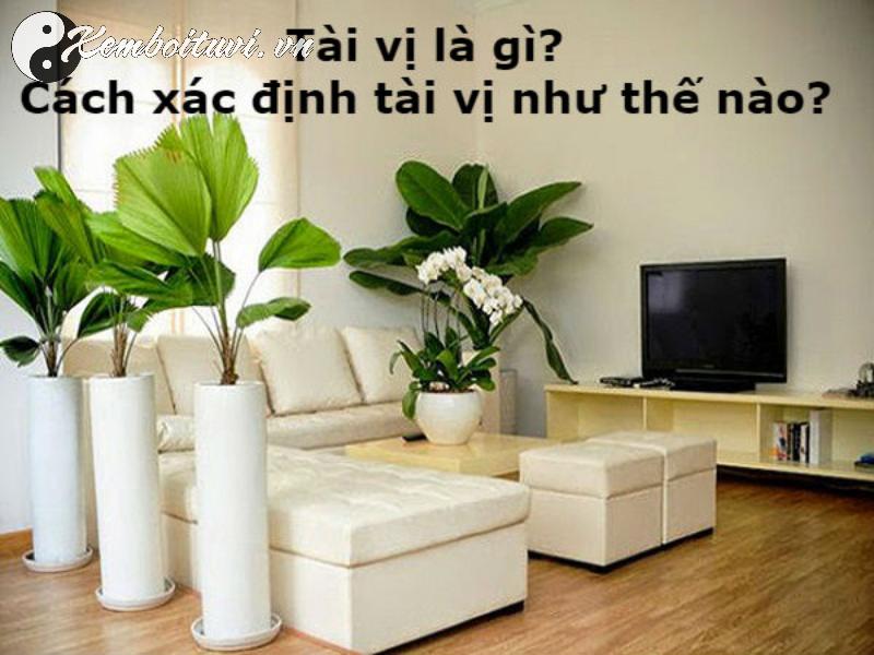 Khám Phá Tài Vị: Bí Quyết Thu Hút Tài Lộc Và Thịnh Vượng Từ Phong Thủy