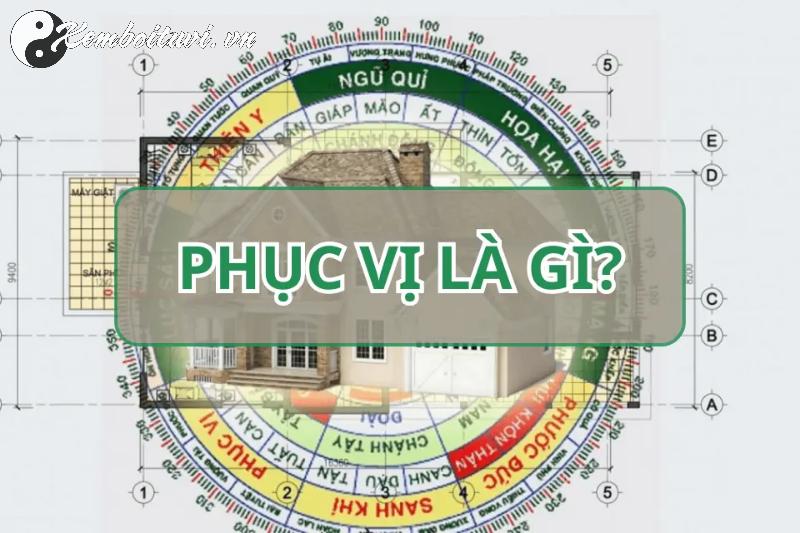 Hướng Phục Vị: Bí Mật Phong Thủy Giúp Gia Chủ Ổn Định Tài Lộc và Vận Mệnh!