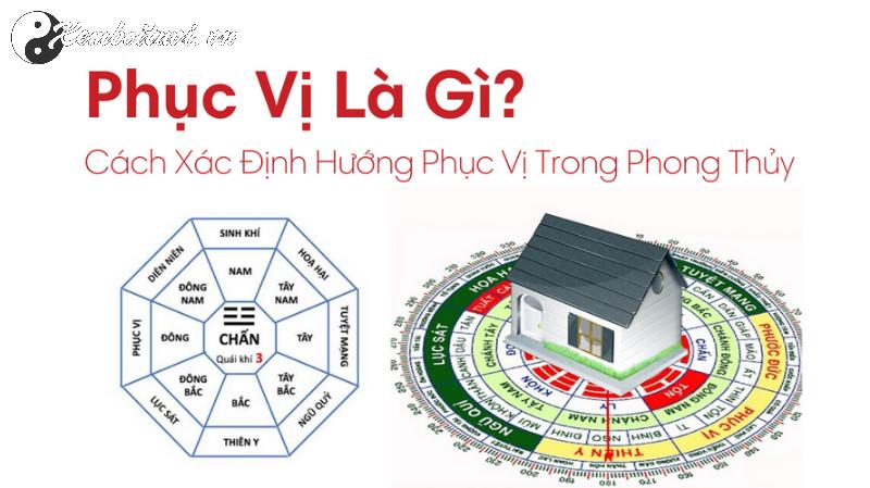 Hướng Phục Vị: Bí Mật Phong Thủy Giúp Gia Chủ Ổn Định Tài Lộc và Vận Mệnh!