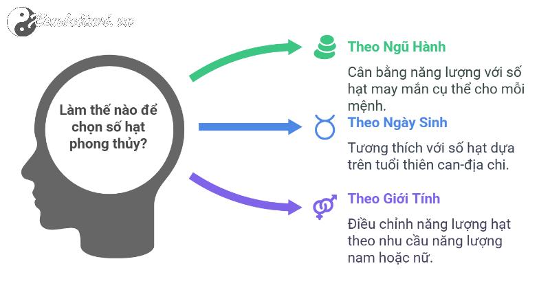 Bí Mật Số Hạt Vòng Phong Thủy: Chọn Sai Có Thể Ảnh Hưởng Vận Mệnh!