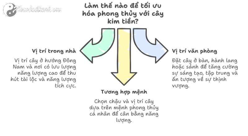 Sắm Cây Kim Tiền Này, Tiền Bạc Sẽ Tự Động Chảy Vào Nhà Bạn Từ 5 Hướng!