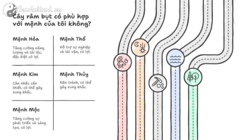 Tiết Lộ Bí Mật Về Cây Râm Bụt: 5 Sự Thật Phong Thủy Sẽ Khiến Bạn Phải Trồng Ngay!