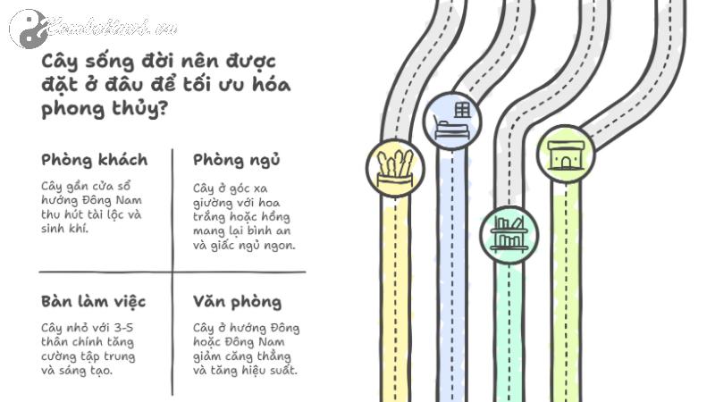 Bí Mật Cây Sống Đời: 5 Cách Đặt Cây Thu Hút Tài Lộc Vào Nhà Bạn Ngay Lập Tức