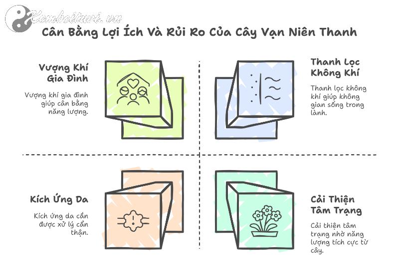 Vạn Niên Thanh – Cây Phong Thủy Hút Tài Lộc, Gia Đạo Bình An, Vượng Khí Dồi Dào!