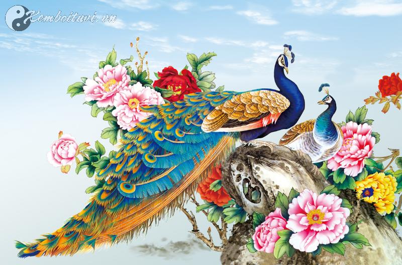 Bí Mật Chưa Từng Tiết Lộ: Tranh Chim Công Hoa Mẫu Đơn Thay Đổi Vận Mệnh Trong 30 Ngày