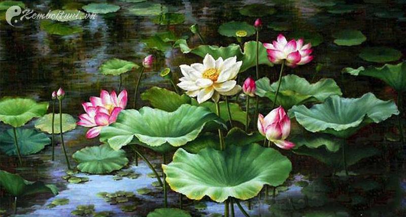 7 Bí Mật Đặt Tranh Hoa Sen Giúp Lộc Vào Nhà Ùn Ùn Mà Ít Người Biết