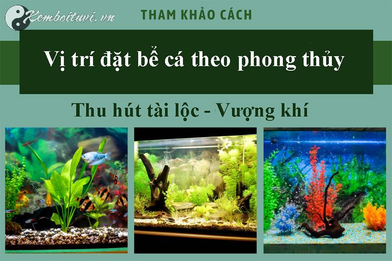 Vị Trí Đặt Bể Cá Hợp Phong Thủy: Sai Một Ly, Mất Cả Tài Lộc!