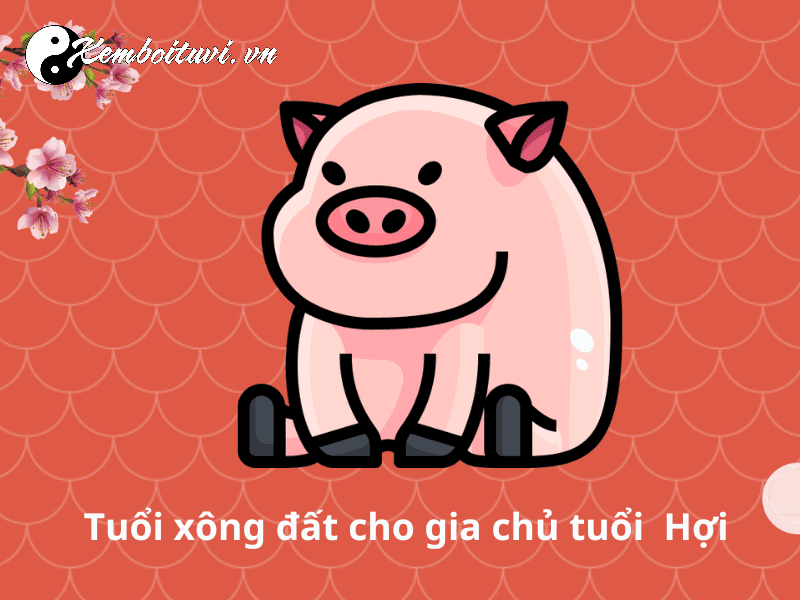 X&ocirc;ng Đất Gia Chủ Tuổi Hợi - B&iacute; Quyết Đ&oacute;n Lộc Đầu Xu&acirc;n Vi&ecirc;n M&atilde;n