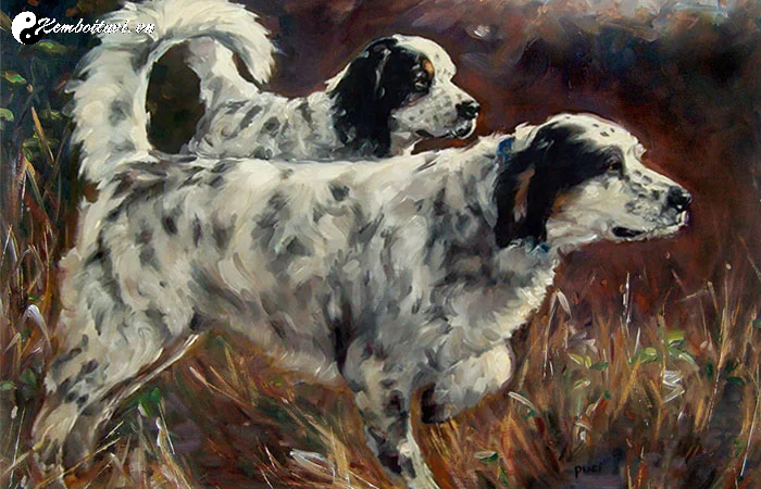 X&ocirc;ng Đất Gia Chủ Tuổi Tuất: B&iacute; Quyết Thu H&uacute;t T&agrave;i Lộc V&agrave; May Mắn Đầu Năm