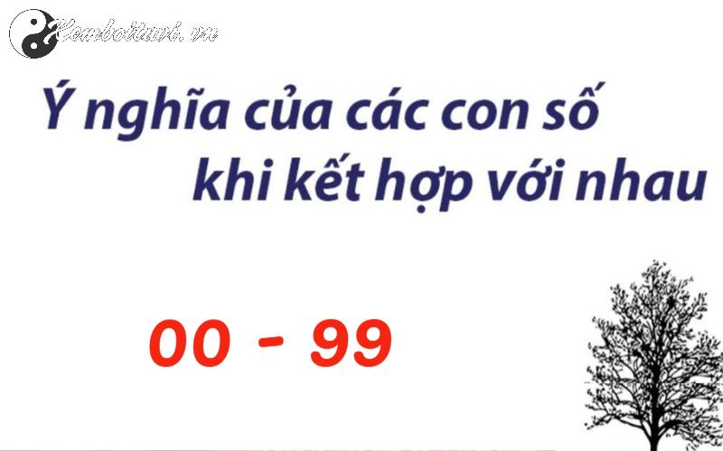 Khám Phá Ý Nghĩa Bí Ẩn Của Các Con Số Từ 00 Đến 99 Trong Phong Thủy – Chìa Khóa Cải Biến Vận Mệnh!